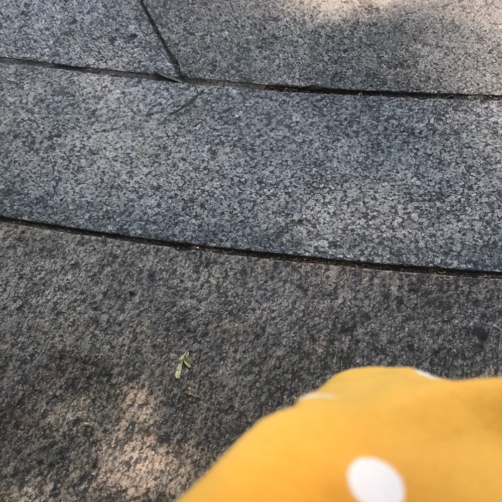 Meet your Posher, Catherine